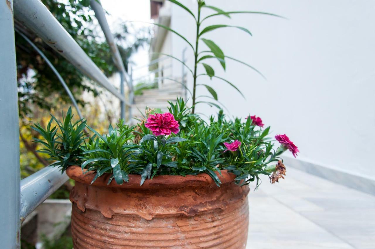 Stephany Apartment Athens Exterior photo